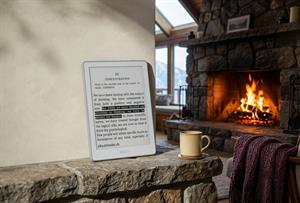 eBookReader.dk Onyx BOOX Go 6 Gen II ebogslæser - Stengrå læse pejs hygge